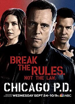 芝加哥警署 第二季
